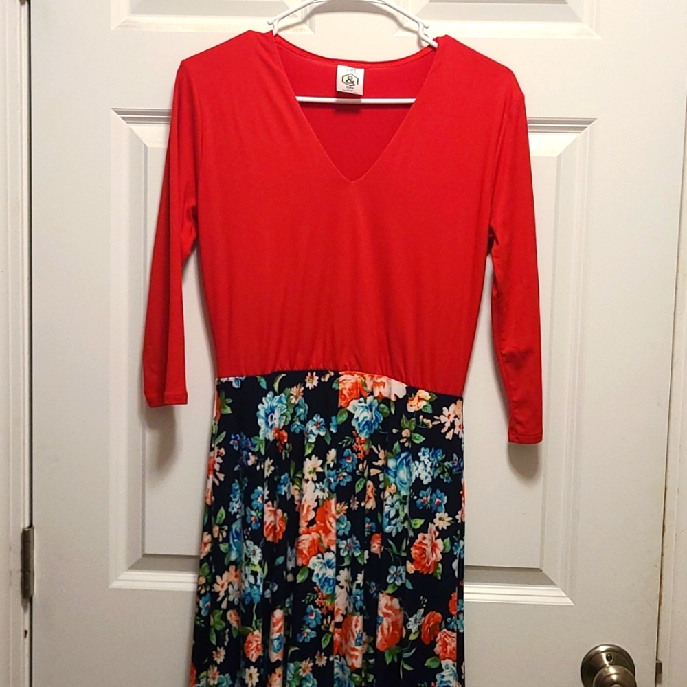 Agnes and Dora Curie Dress. Red and blue floral. Size Small.
